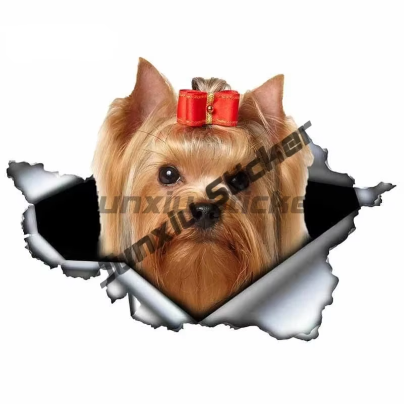Naklejka winylowa Chihuahua Ma – Laptop Accessories Brand recenzja i cena